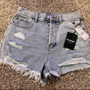 Playboy by Pacsun shorts